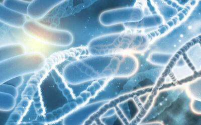 Microbiota Intestinal: La Clave para tu Estado de Ánimo